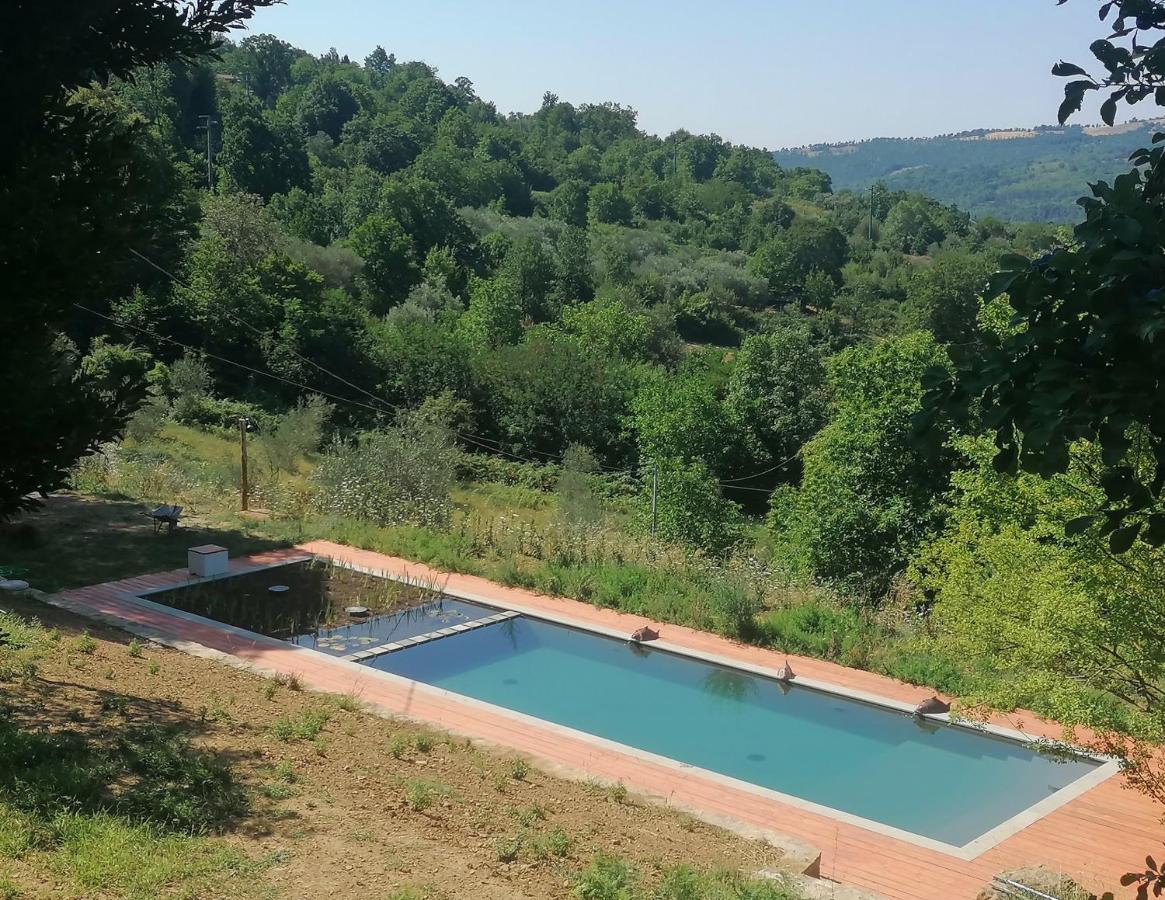 Podere Di Maggio - Glamping Tent 2 Santa Fiora Εξωτερικό φωτογραφία